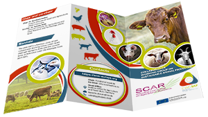 Sustainable Animal Production flyer