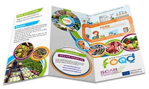 FOOD Systems Flyer