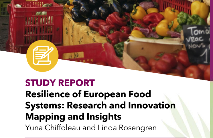 Report:
