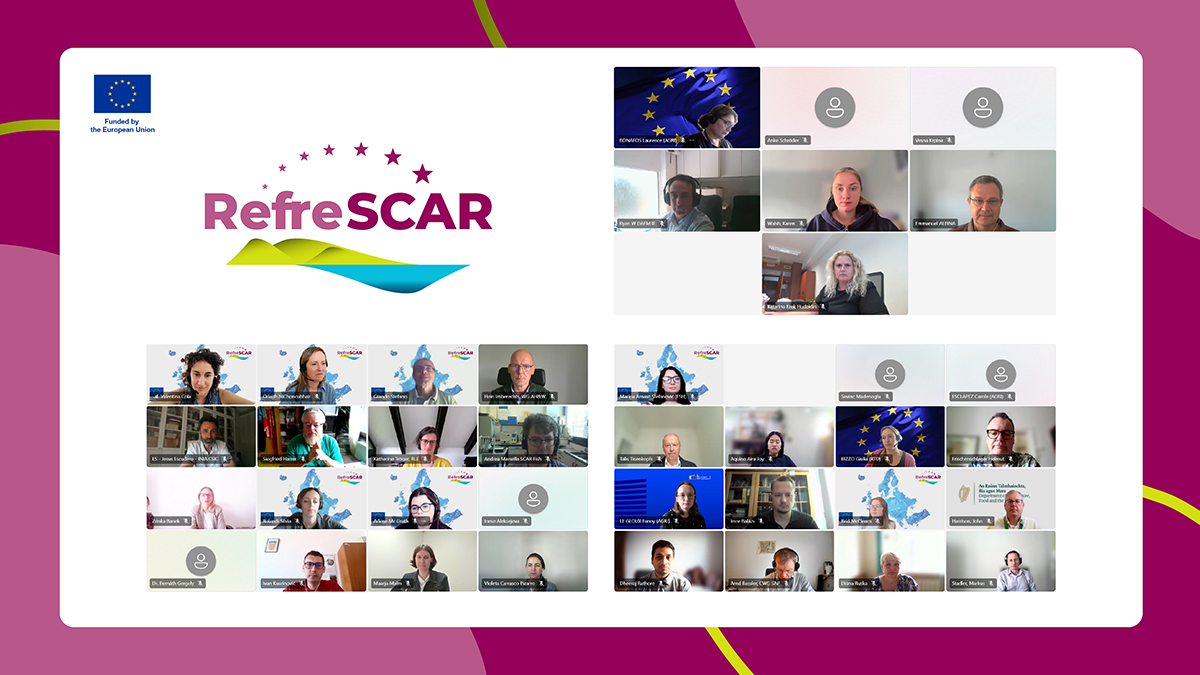 Third annual Training webinar for new SCAR Groups members