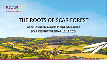 THE ROOTS OF SCAR FOREST