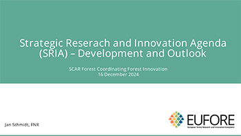 Strategic Reserach and Innovation Agenda (SRIA) Development and Outlook