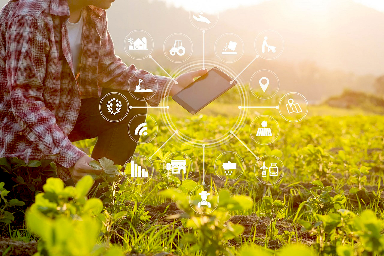 RefreSCAR OBJECTIVES