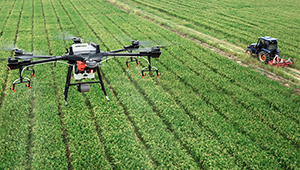 AGRICULTURAL KNOWLEDGE AND INNOVATION SYSTEMS