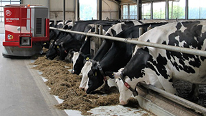 Sustainable Animal Production