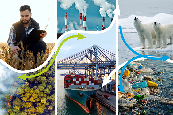 Workshop 'Identifying Research Gaps for a Resilient Bioeconomy in the Context of Poly-Crisis