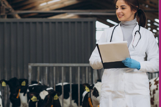 Animal Health & Welfare SWG