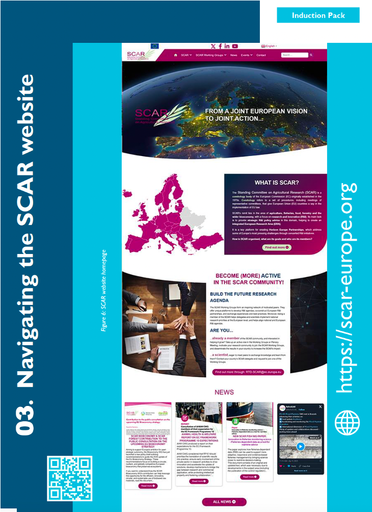 image of Induction Pack