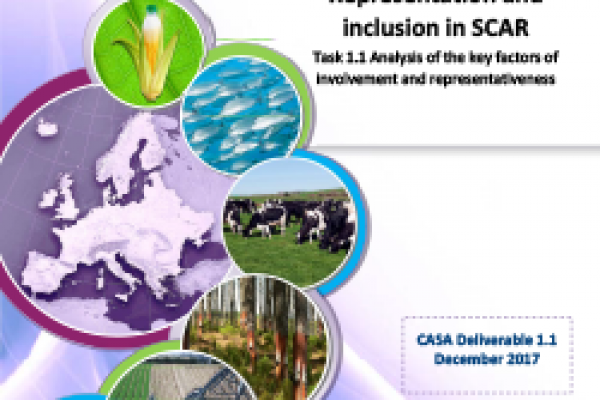 Deliverable 1.1 - Report of desk study, interviews, and group discussions on matters of inclusiveness and representativeness