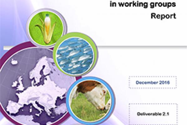 Deliverable 2.1 - Study of experiences in working groups