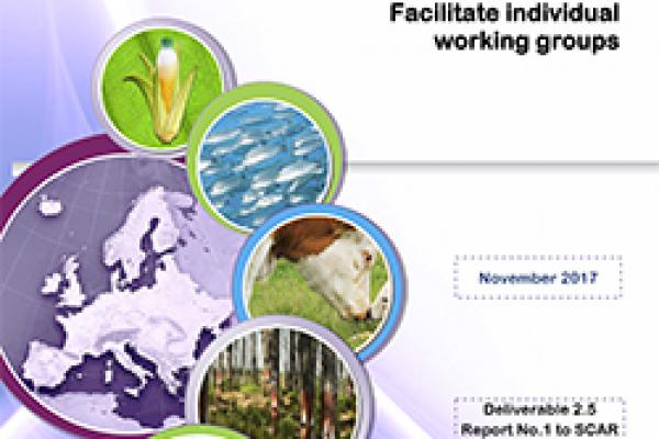 Deliverable 2.5 - Facilitate individual working groups