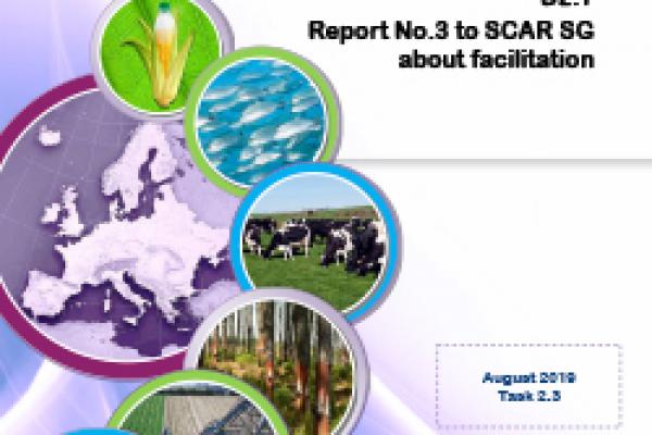 Deliverable 2.7 - Report Nr.3 to SCAR SG about facilitation