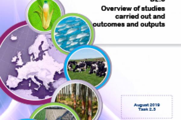 Deliverable 2.8 - Overview of studies carried out and outcomes and outputs