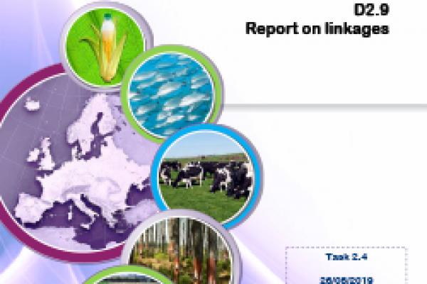 Deliverable 2.9 - Report on linkages