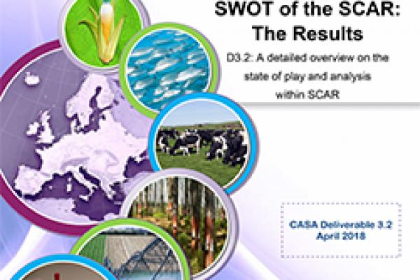 Deliverable 3.2 - SWOT of the SCAR: The Results - A detailed overview on the state of play and analysis within SCAR