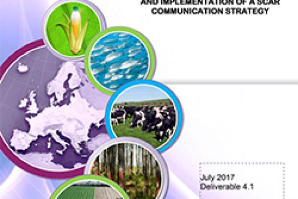 Deliverable 4.1 - Report of survey and recommendations