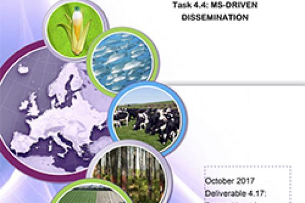 Deliverable 4.17 - Report Nr.1 from national mirror-groups