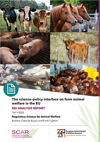 The science–policy interface on farm animal&nbsp;welfare in the EU  - R&I ANALYSIS REPORT