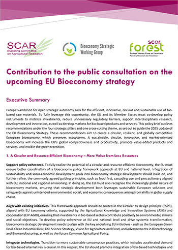 Contribution to the public consultation on the upcoming EU Bioeconomy strategy Contribution to the public consultation on the upcoming EU Bioeconomy strategy
