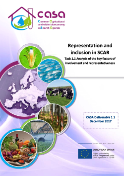 Deliverable 1.1 - Report of desk study, interviews, and group discussions on matters of inclusiveness and representativeness