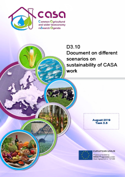 Deliverable 3.10 - Document on different scenarios on sustainability of CASA work