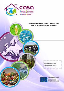 Deliverable 4.13 - Report of published leaflets on SCAR and SCAR bodies