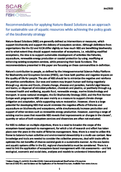 Recommendations for applying Nature-Based Solutions as an approach for sustainable use of aquatic resources while achieving the policy goals of the biodiversity strategy