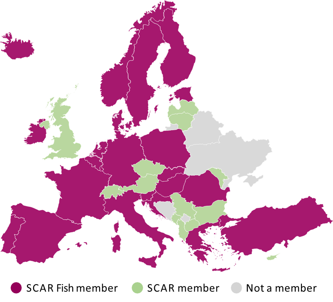 Fish members map Fish members map