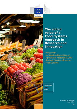 The added value of a Food Systems Approach in Research and Innovation