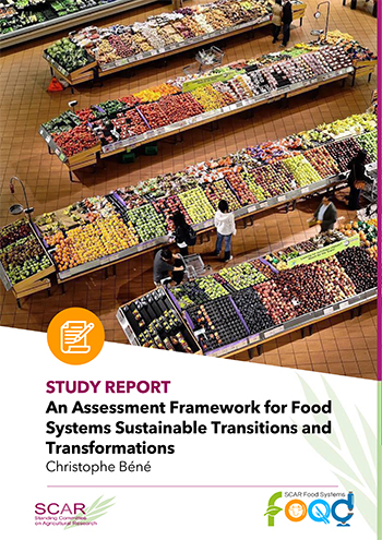An Assessment Framework for Food Systems Sustainable Transitions and Transformations - C Bene 2026
