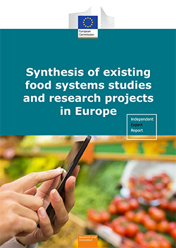 Synthesis Food System RI KI 02 19 410 EN N