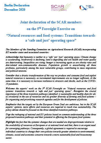 Final Berlin Declaration - December 2020