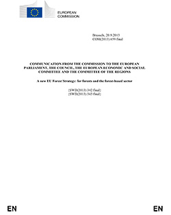 EU Forest Strategy