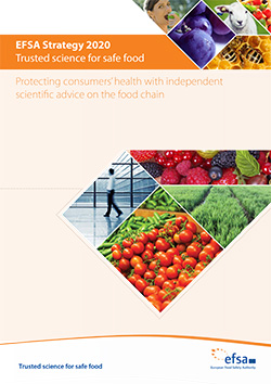 efsa strategy2020