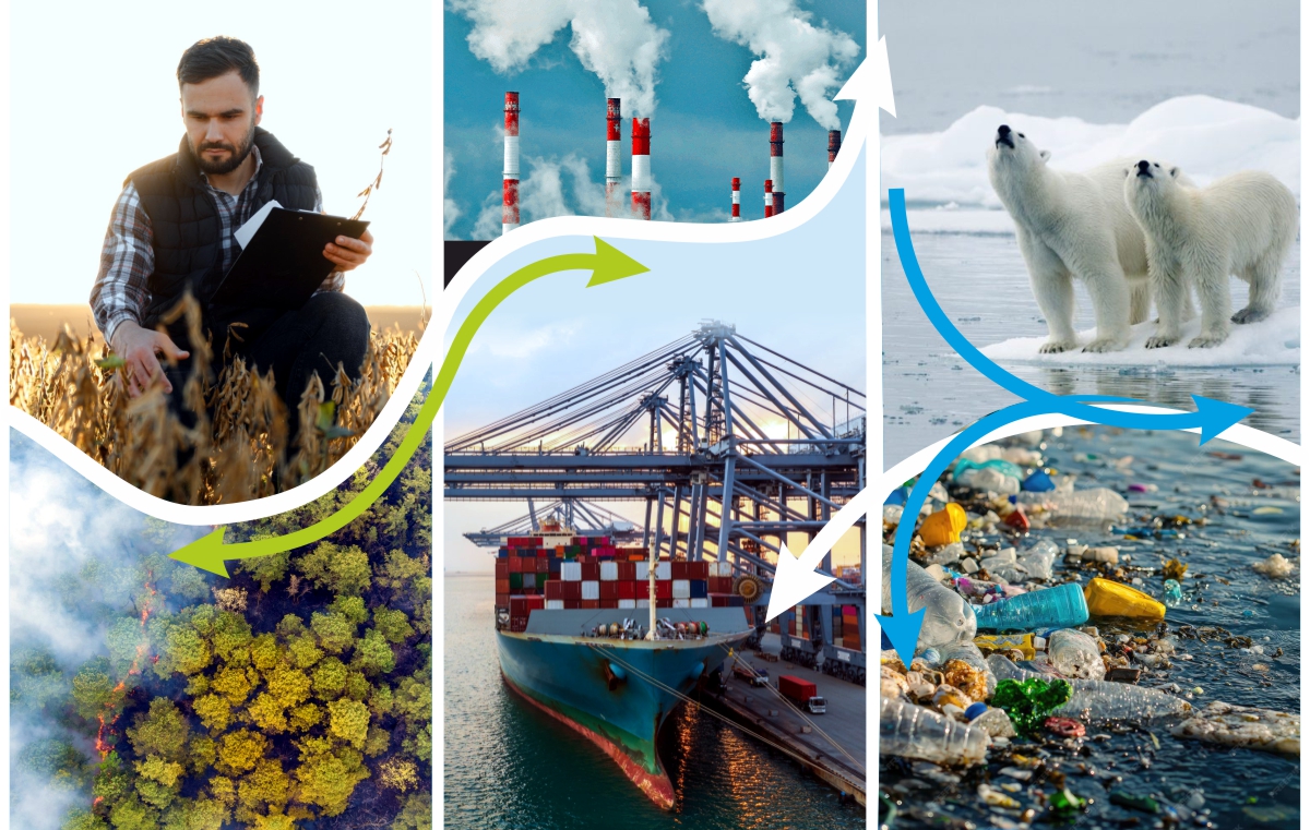 Workshop Poly crisis