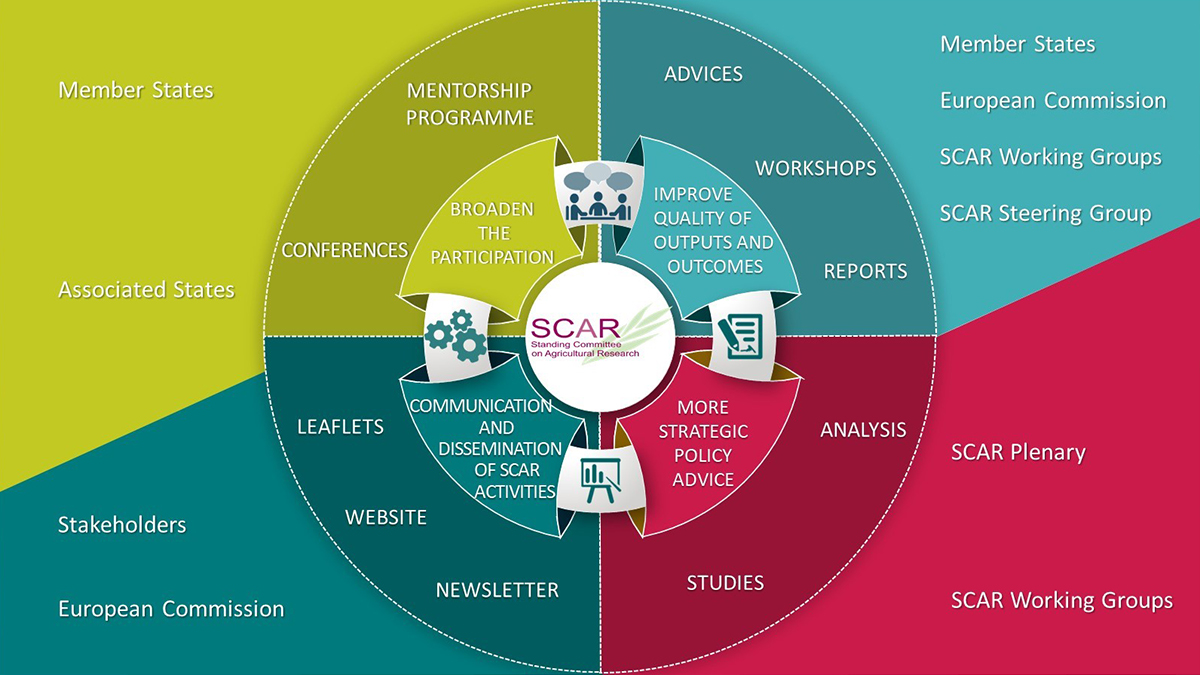 Infographic: Overview of communication and dissemination Infographic: Overview of communication and dissemination