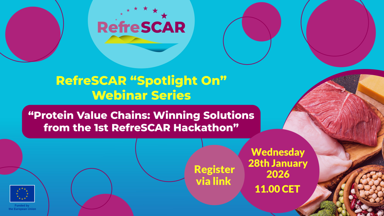 webinar protein value chain