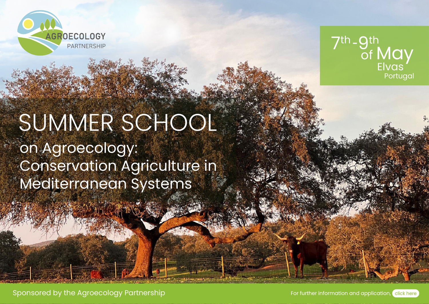 Agroecology Partnership 1st co-funded call success and summer school 