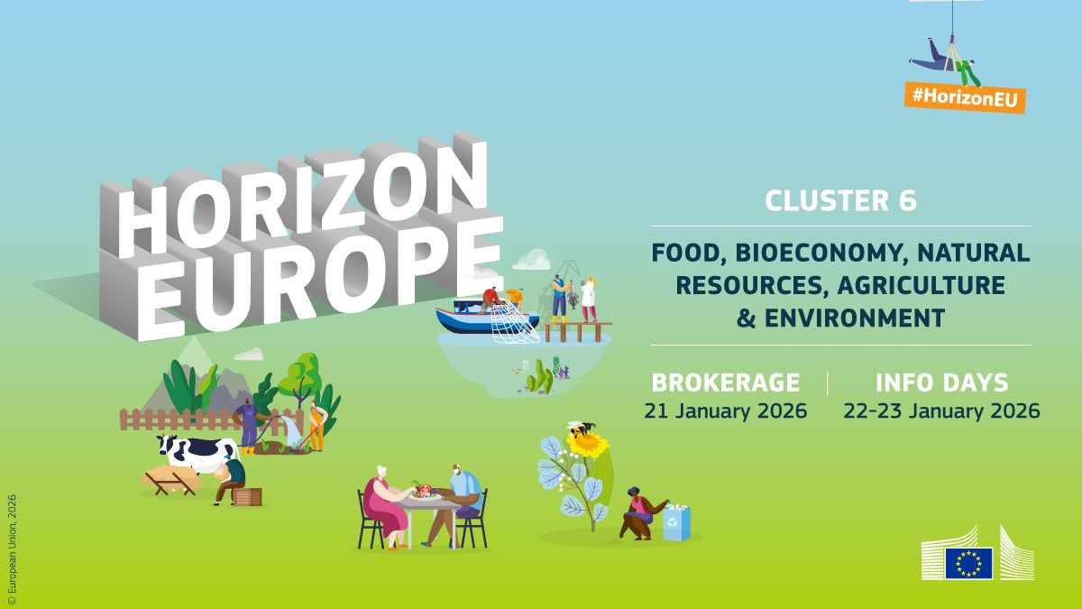 Horizon Europe Cluster 6